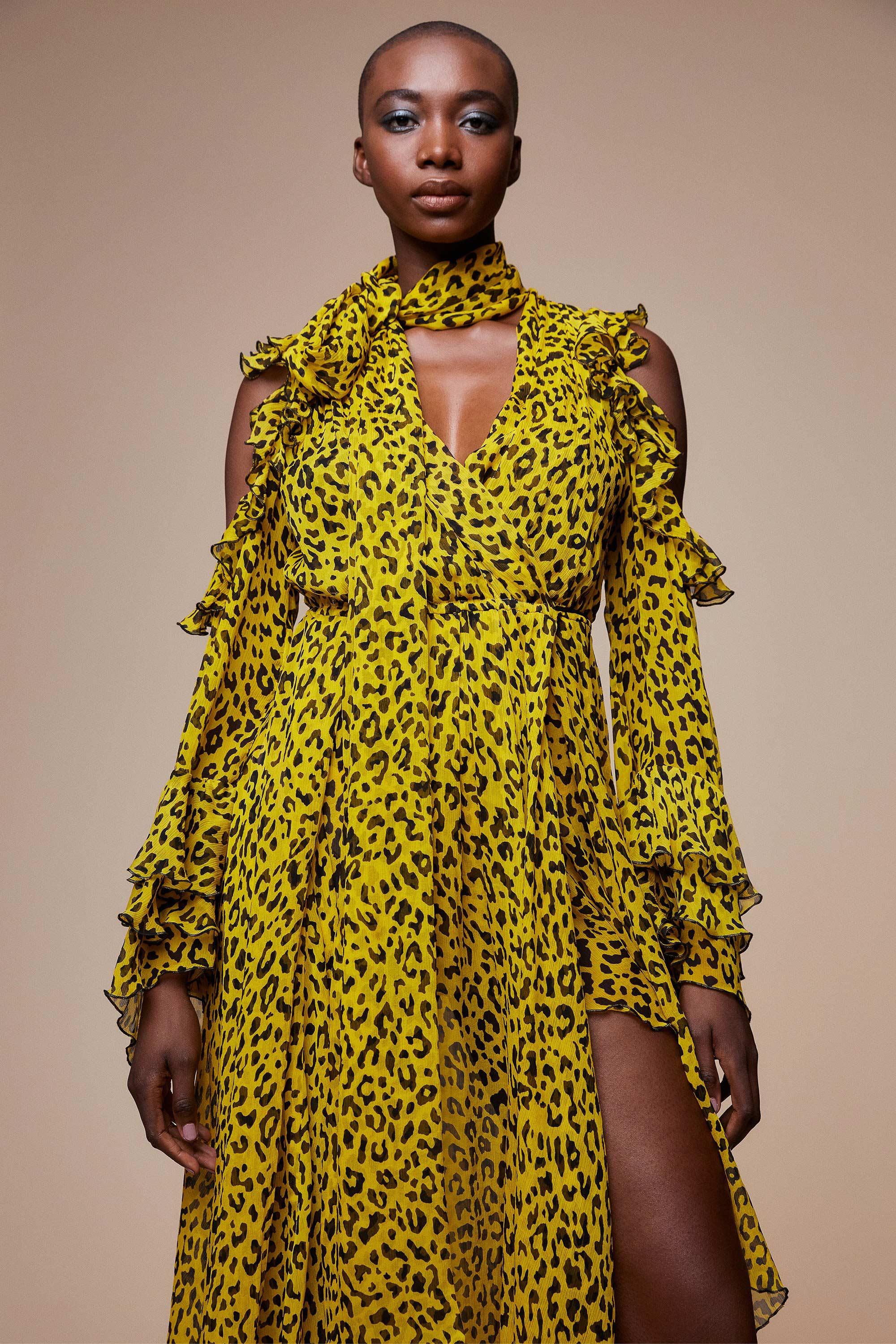 Tunisia Dress DVF