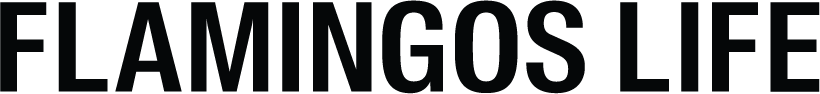 logos_ticker_flamingos