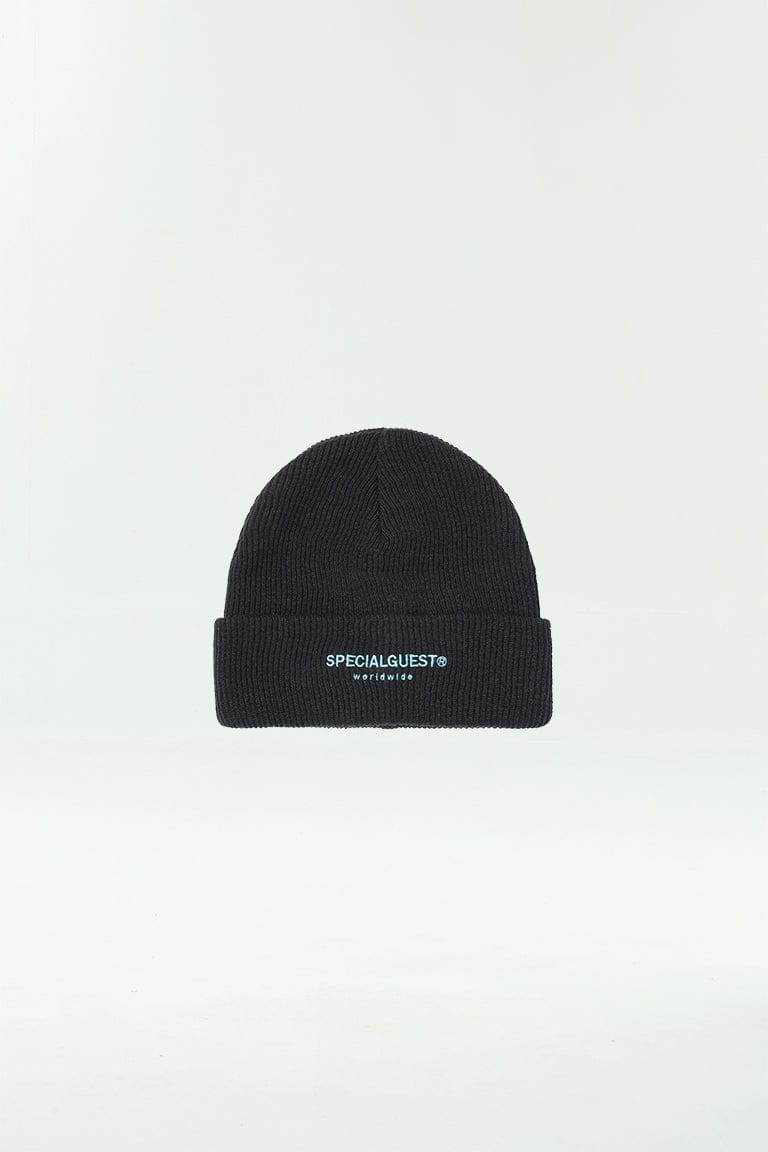 V2 LOGO BEANIE