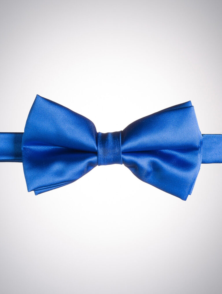 Adjustable royal blue dickie bow – Paisley