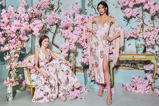 alice and olivia